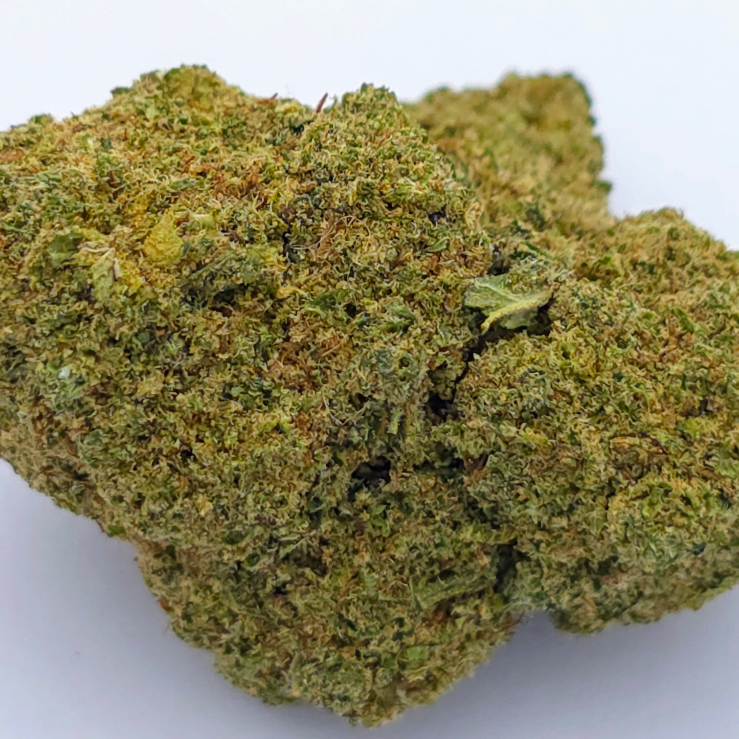 Candy Cali Hydroponique