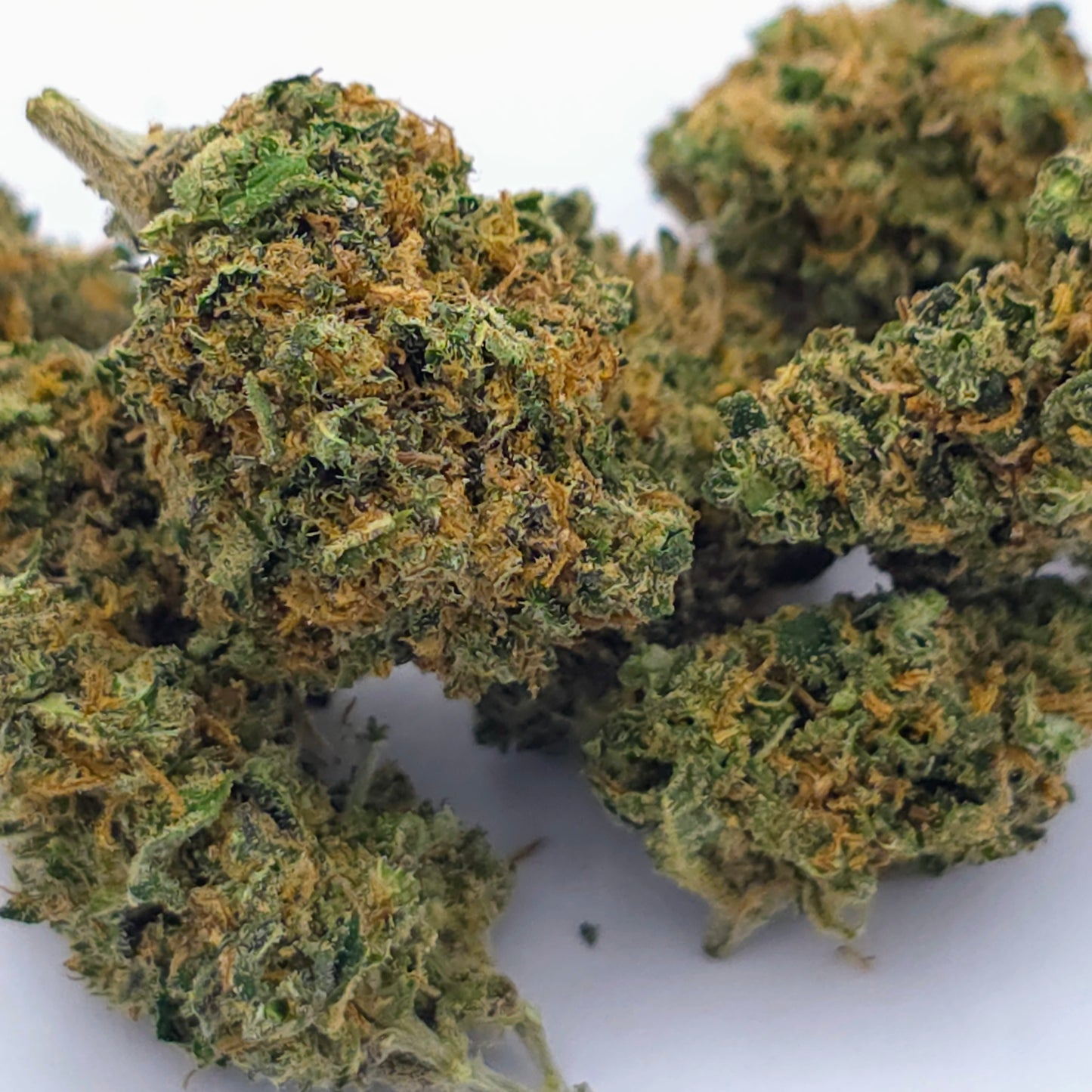 Cherry Pie Indoor – Small Buds