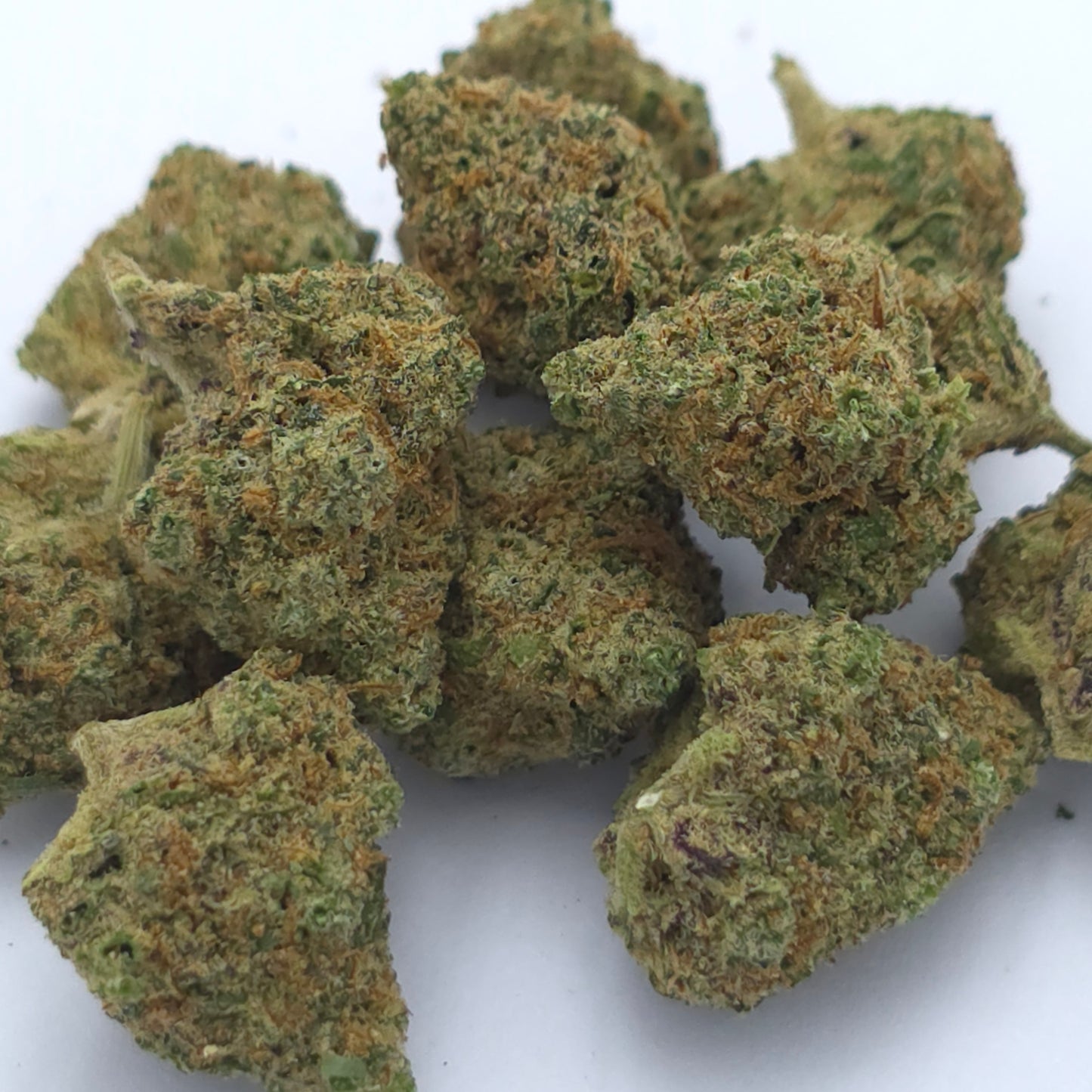 Orange Bud Indoor – Medium Buds