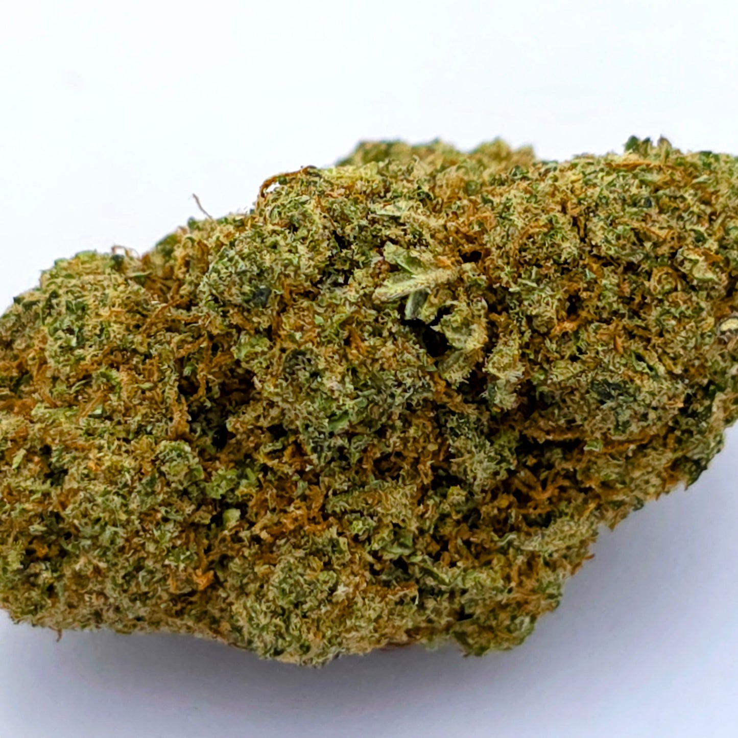Papaya Cake Hydroponique