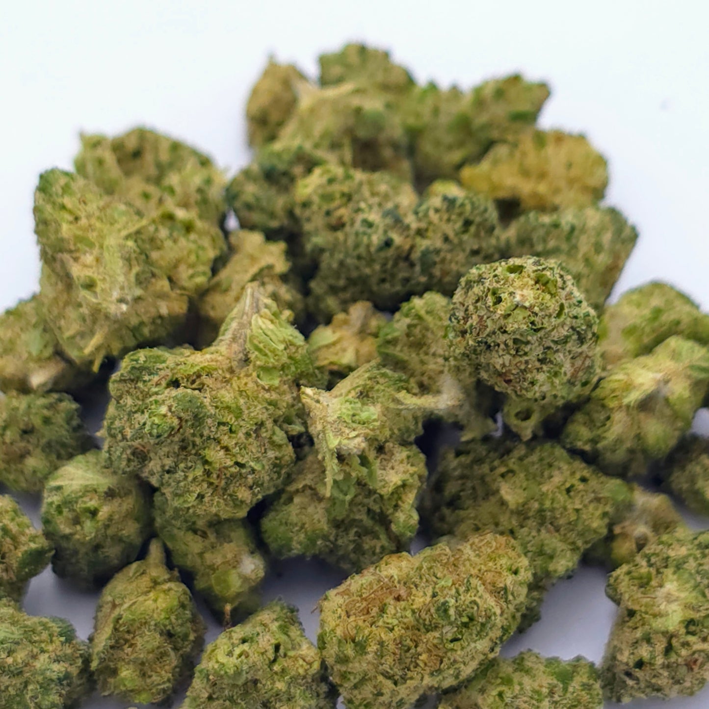 Alien OG Indoor – Small Buds