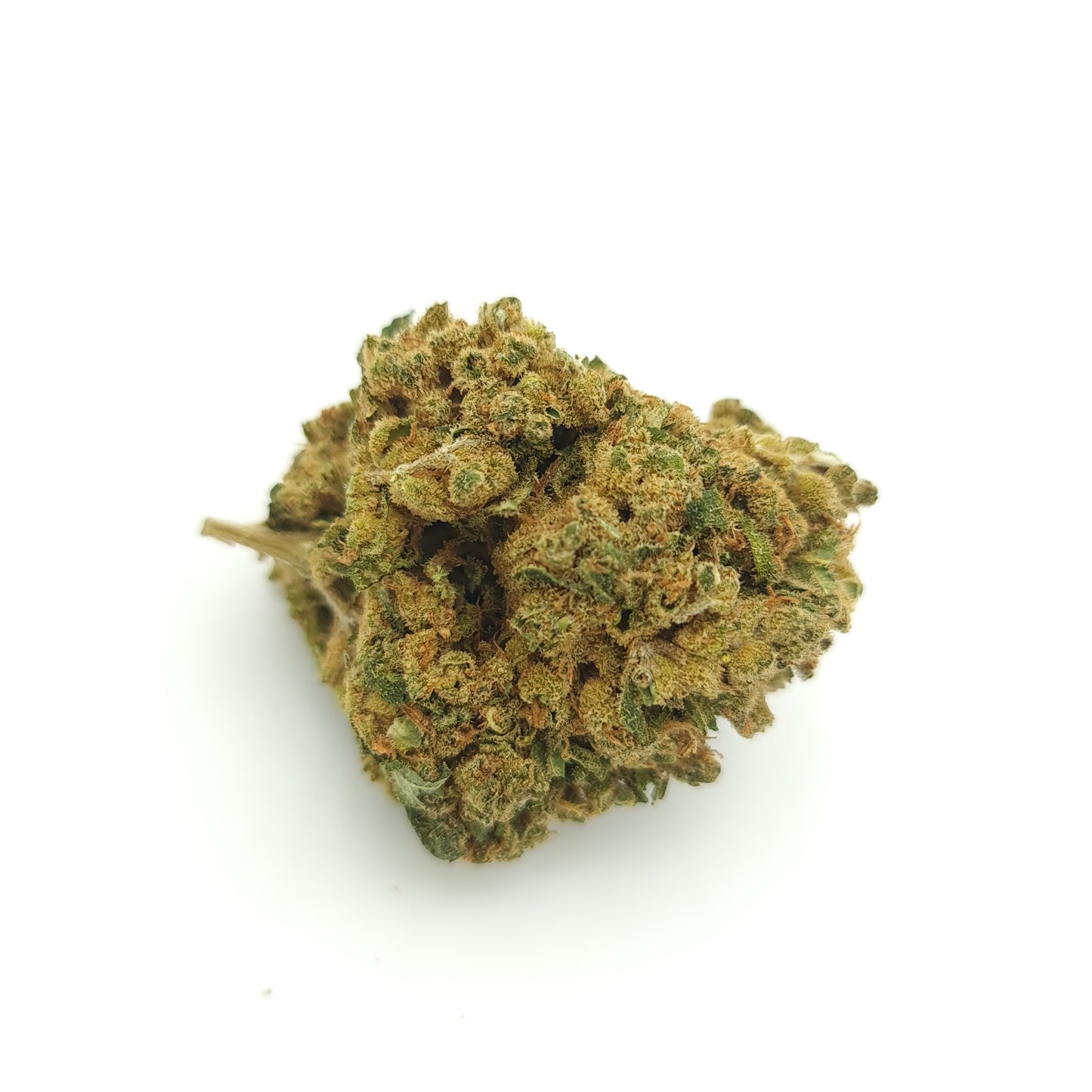 Harlequin - Fleur de CBD Indoor
