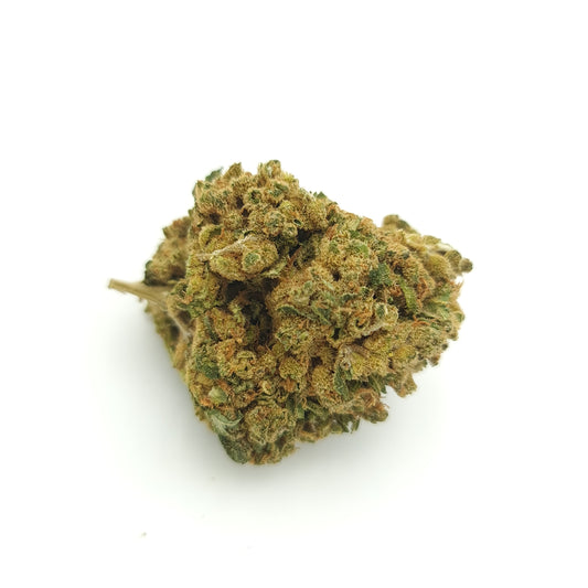 Harlequin - Fleur de CBD Indoor
