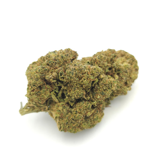 Super Silver Haze Indoor Hydroponique