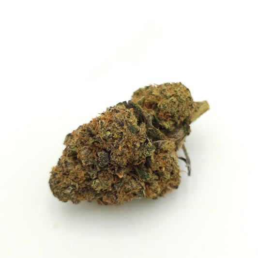 Cali Purple Indoor Hydroponique