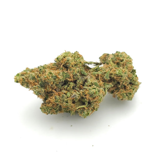 Goldbar Kush Indoor Hydroponique