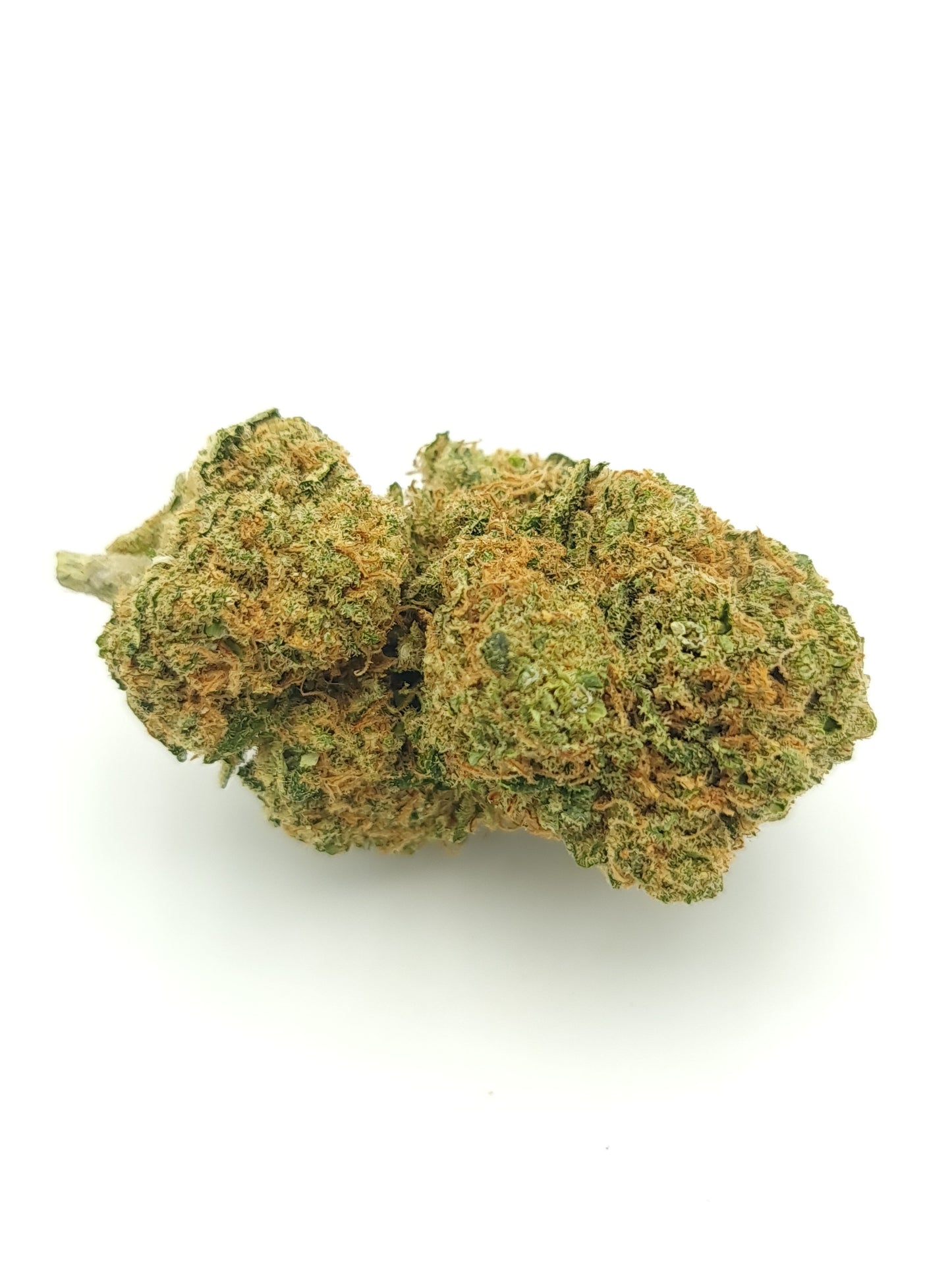California Haze Indoor Hydroponique
