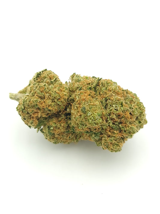 California Haze Indoor Hydroponique
