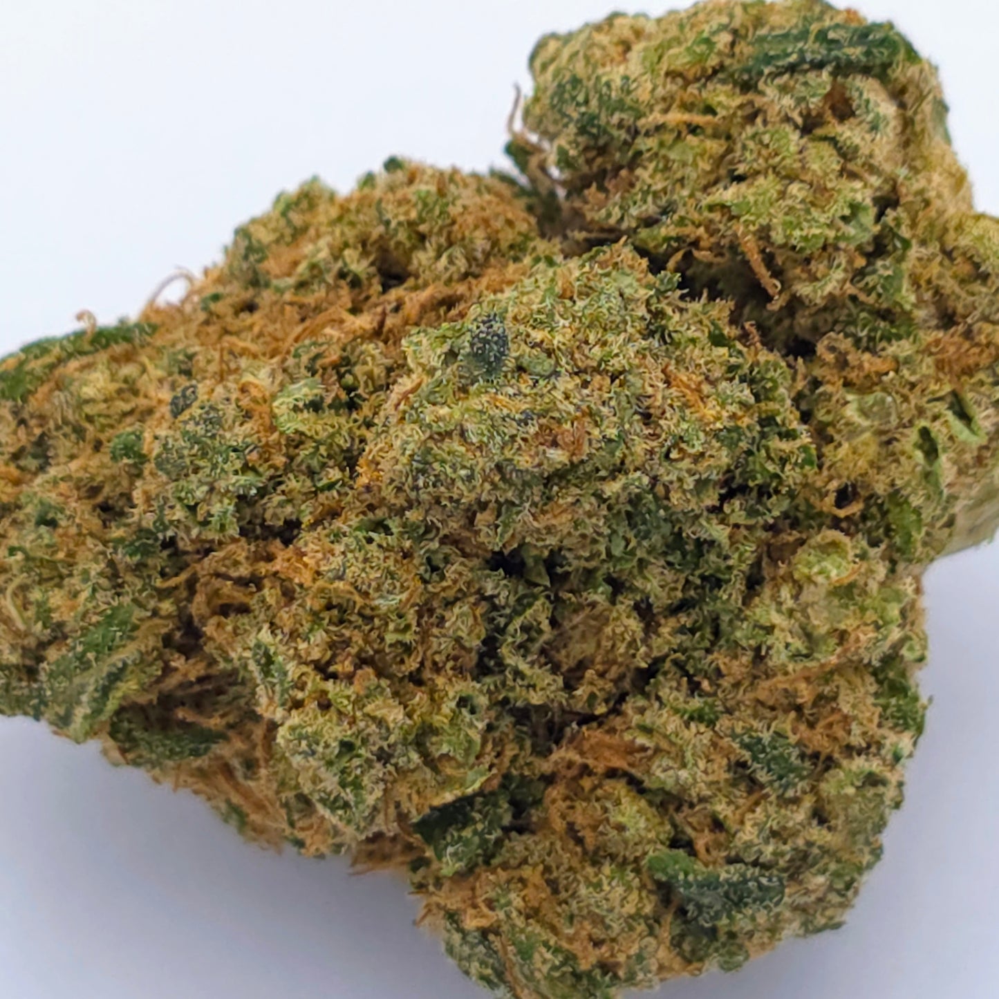 Grape Gas Hydroponique