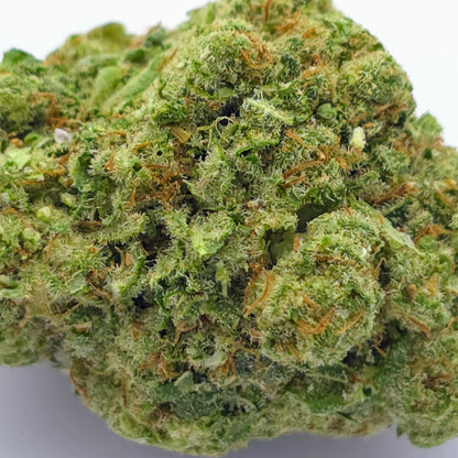 Lemon Haze Frozen Hydroponique