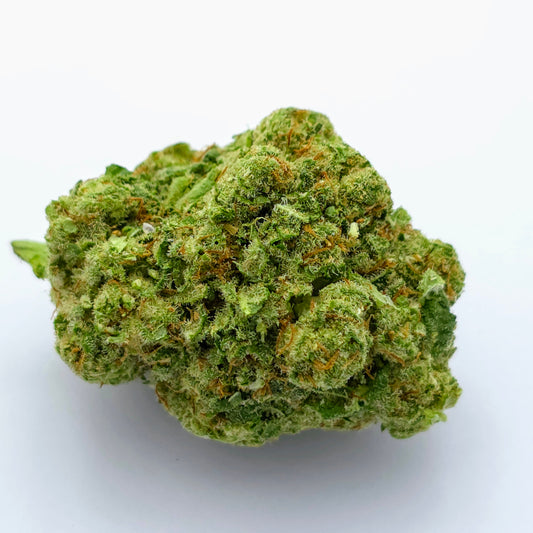 Lemon Haze Frozen Hydroponique