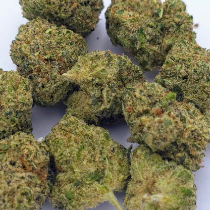Malabar Indoor – Small Buds