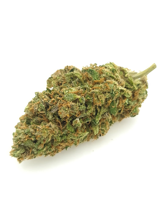Mango Kush - Fleur de CBD Indoor