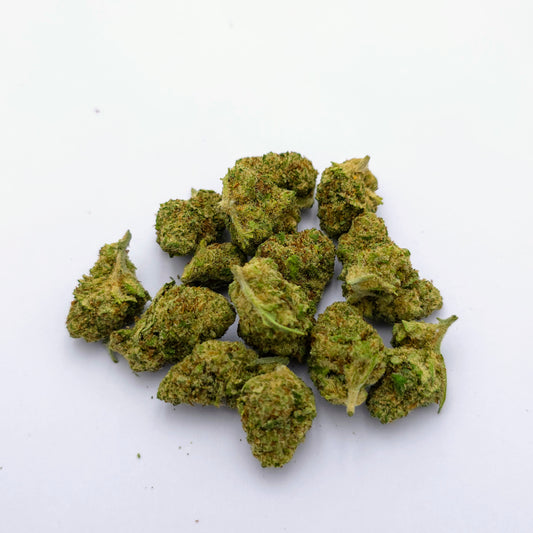 Zoap X Malabar Indoor – Medium Buds
