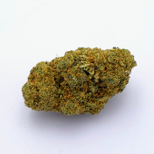 Papaya Cake Hydroponique
