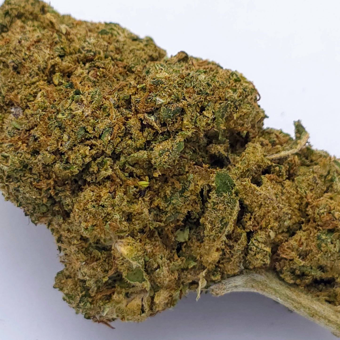 Strawberry Indoor