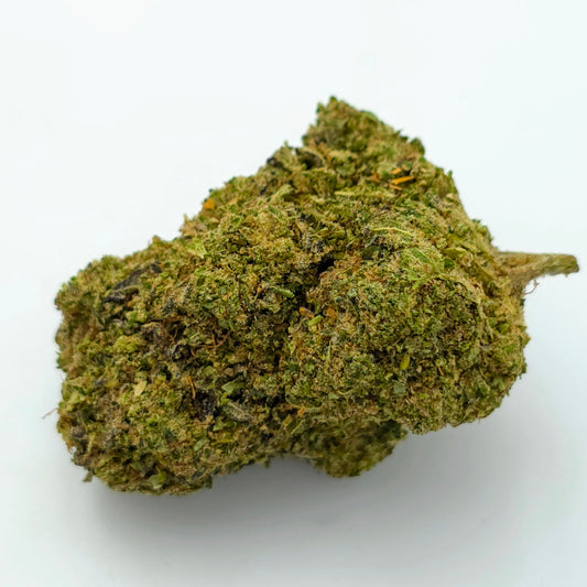 White Critical Hydroponique
