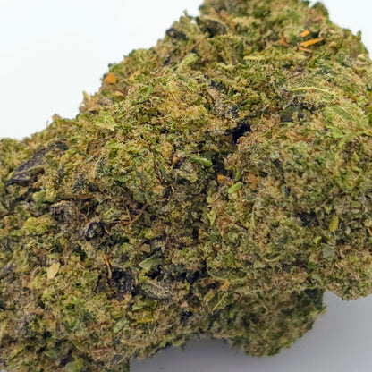 White Critical Hydroponique