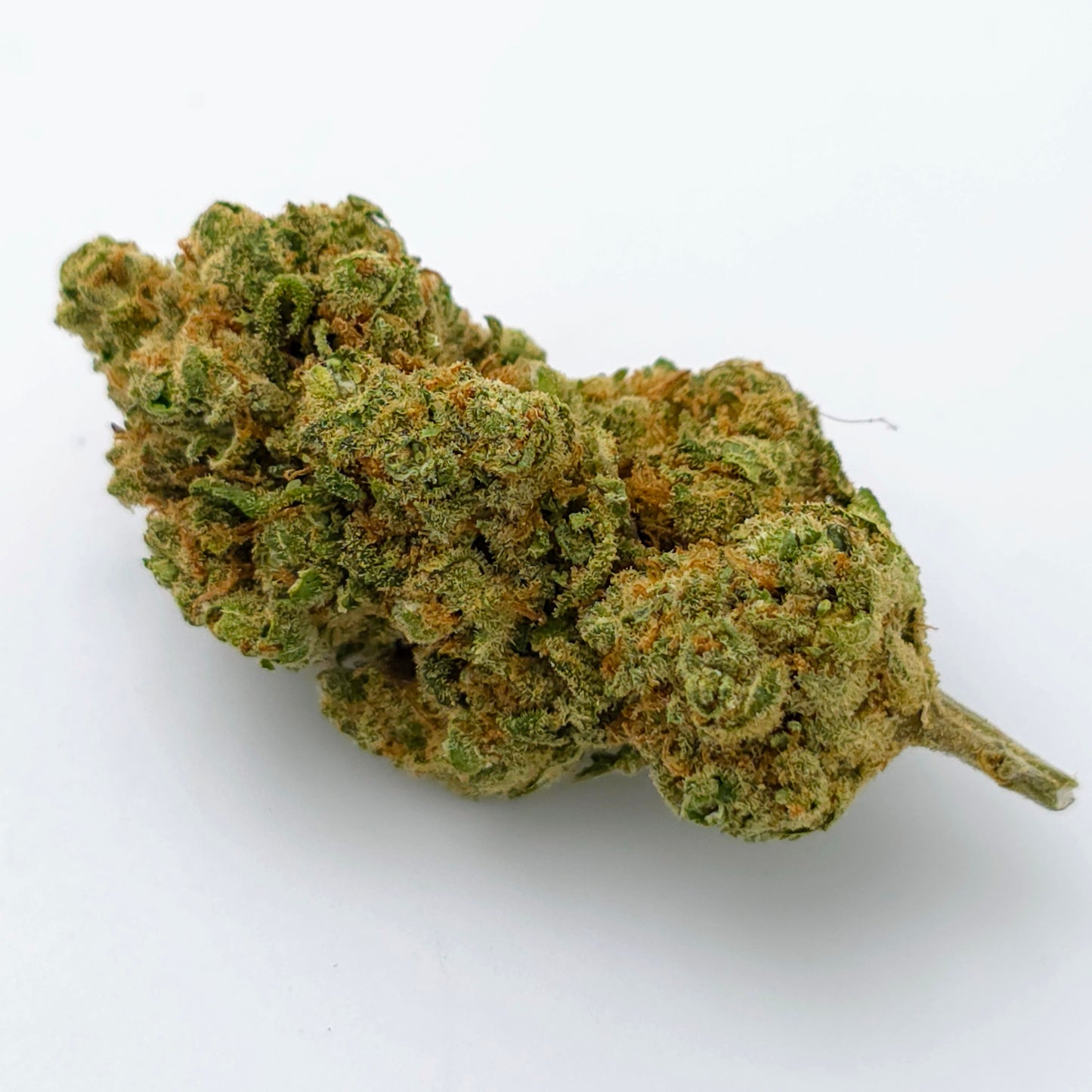 White Widow N02 Hydroponique