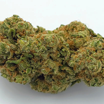 White Widow N02 Hydroponique
