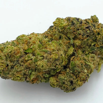 Zeus Hydroponique