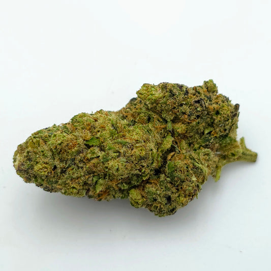 Zeus Hydroponique