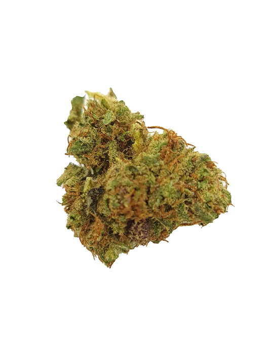 Orange Bud - Fleur de CBD Indoor