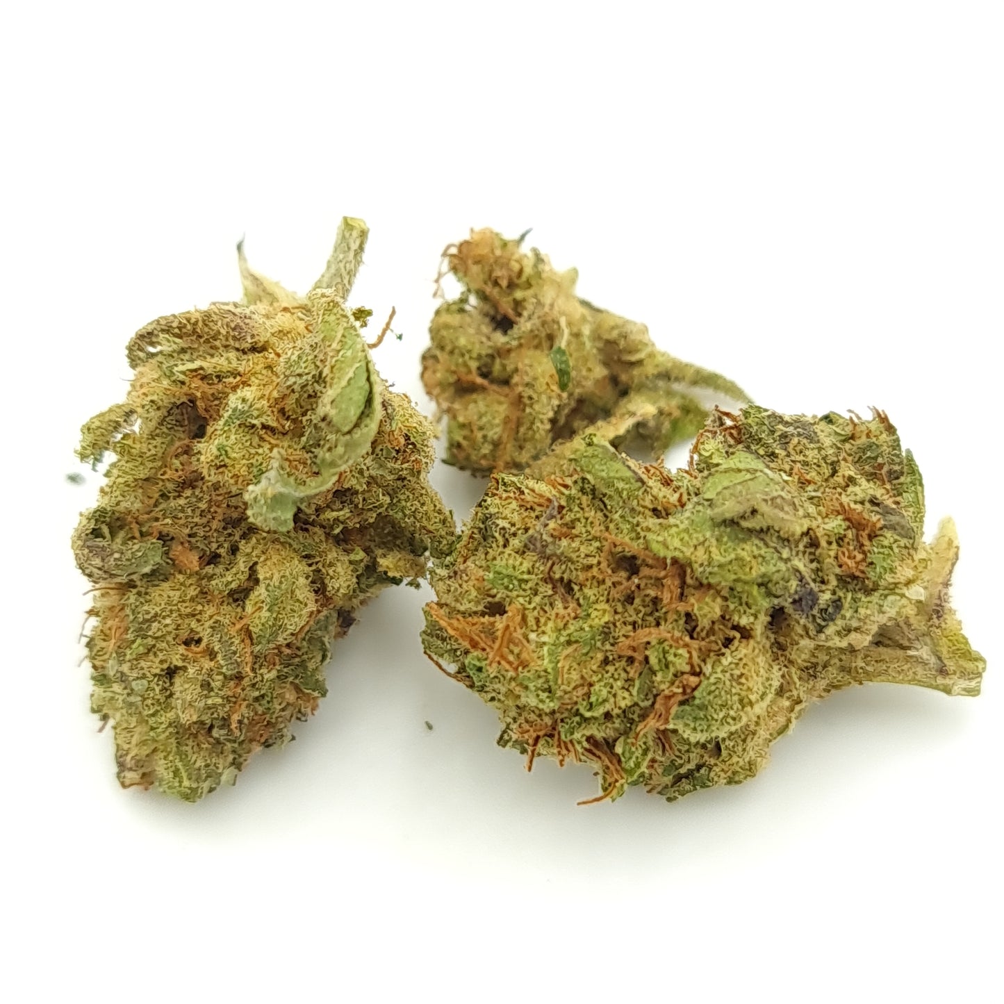 Orange Bud - Fleur de CBD Indoor