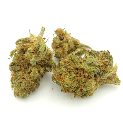 Orange Bud - Fleur de CBD Indoor